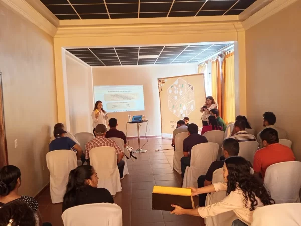 Alimentacion Apicola_05