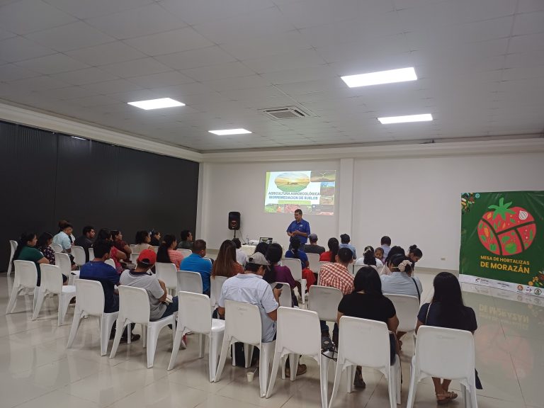 simposio-charla-hortalizas (3)